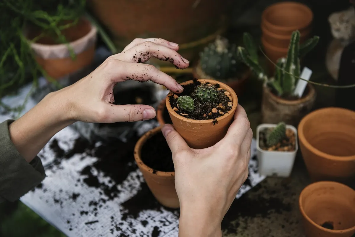 Fixed vs Growth Mindset: Which One Is Running Your Career?