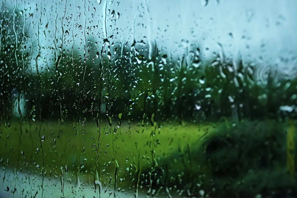 Seasonal Affective Disorder (SAD): A UK Wellbeing Action Plan